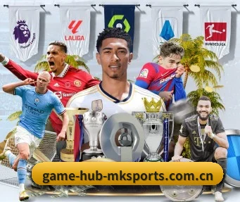 全球扩展 - 全球化战略取得重大进展,千万用户共同见证game-hub-mksports.com.cn成长。